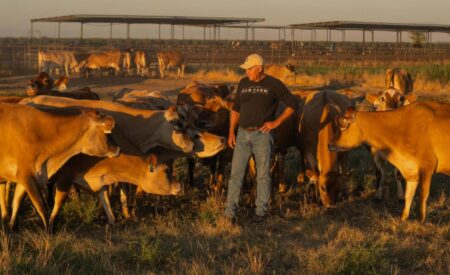 Raw Farm Is Doubling Down On Selling Raw Milk At Scale