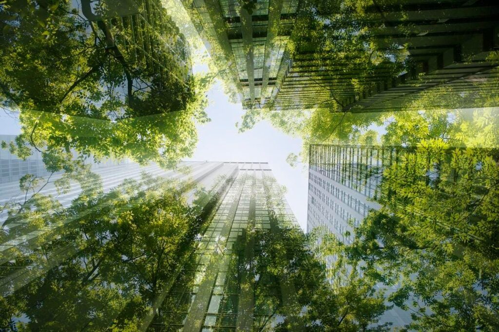 Measuring Real Impact In Corporate Sustainability