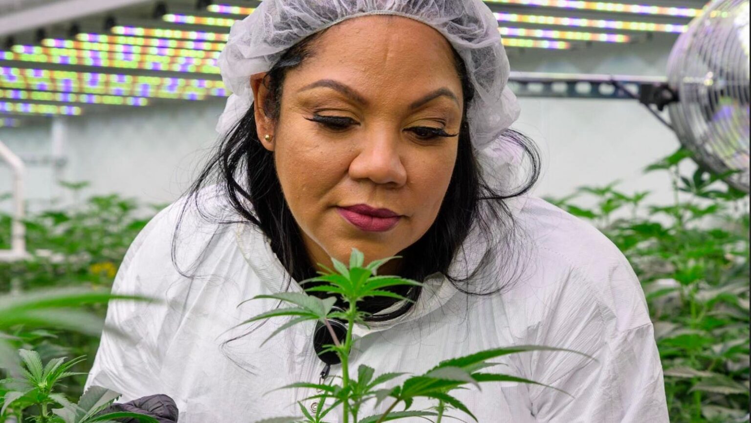 How Queen Zulu—Dr. Macias—Lost Her Home, Then Built A Cannabis Empire And Inspired Brittney Griner