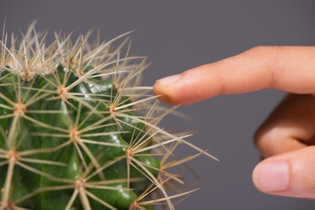 18 Steps For Dealing With Prickly Business Clients