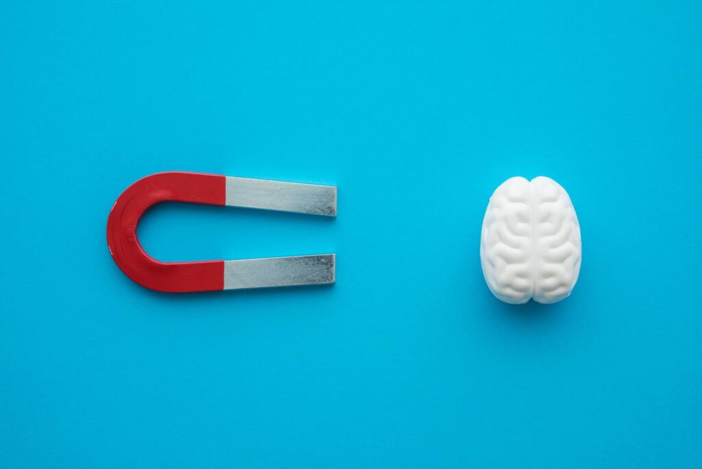 Top 6 Talent Magnets For Startups Based On Data