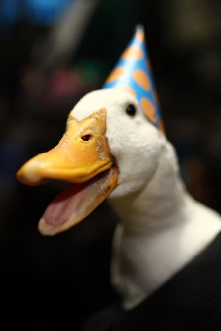 Aflac Data Breach By Scattered Spider Hackers Is No Quacking Matter